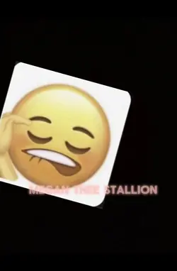 MEGAN THEE STALLION