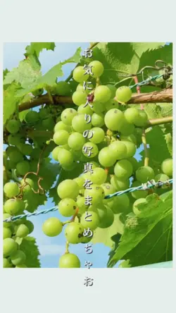 お気に入りの写真をまとめちゃお！