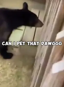 Pet that dawggg