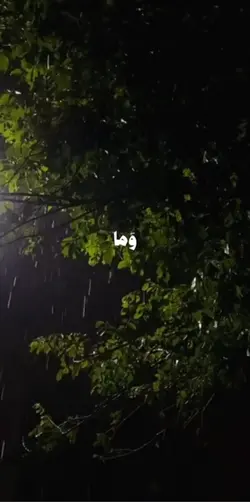 علي جابر
