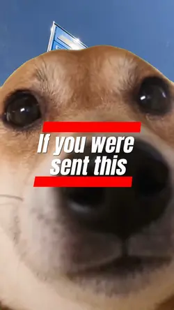 Send this!