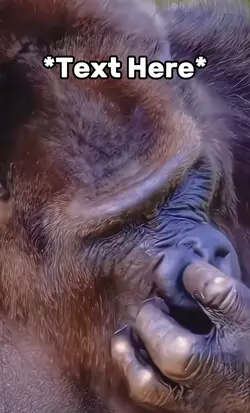 Nose picking meme 