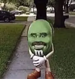 sneek