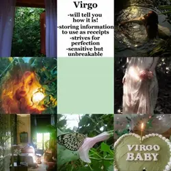 Virgo ♍️ 