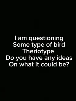 Any ideas?