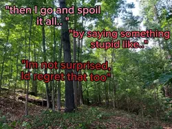 spoil it all 