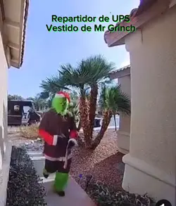 Mr Grinch Costume 