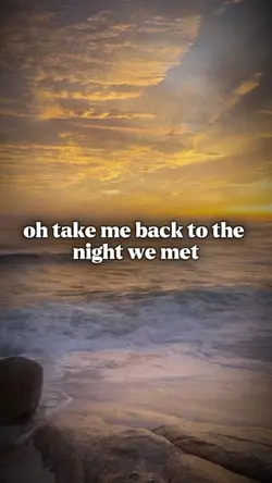 Night we met