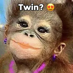 Twin monkey