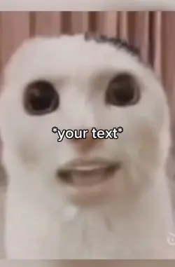Singing cat 
