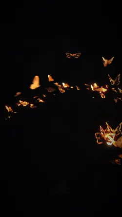 Golden butterfly 