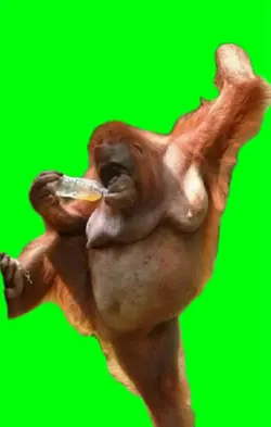 Come here often