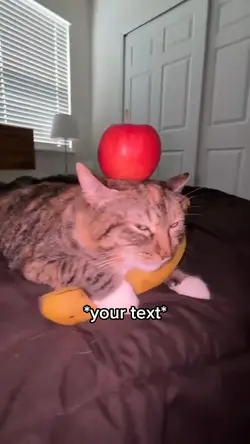 Banana Apple cat