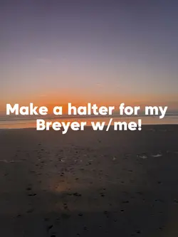 Make a halter w/me!