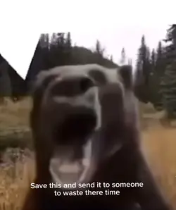 Fast meme 