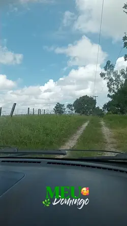 meu domingo