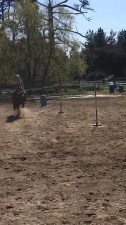 project horse