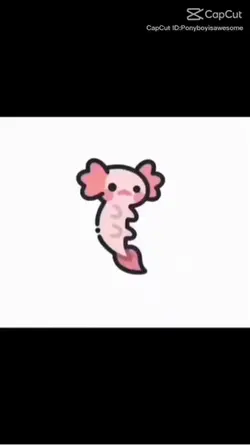 cute axolotl