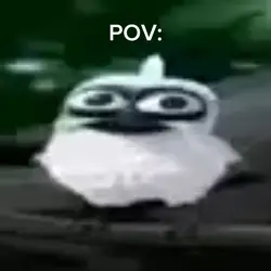 POV: ahhhhhh bird