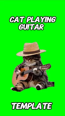 Cat playing guitar 