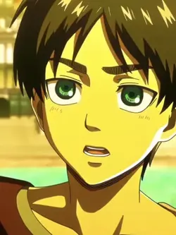 Eren x Mikasa
