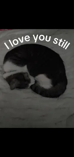 Luv you