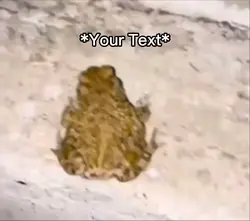 🐸
