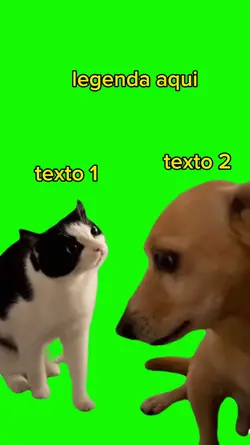 MEME CAT X DOG