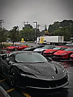 ferrari top 