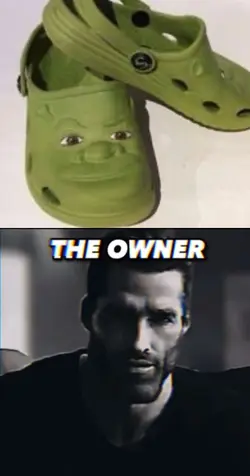 The owner meme