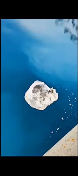 Free Space Edit