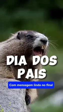 DIA DOS PAIS 💙
