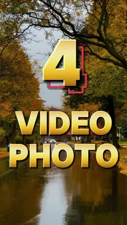 4 clips 
