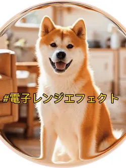 電子レンジエフェ