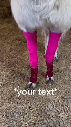 Funny meme