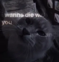 fav lyrics eve