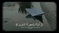 Quran verses 
