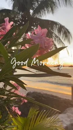 Good Morning
