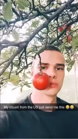 Apple👍