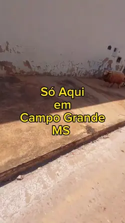 Capivara vs Carneiro