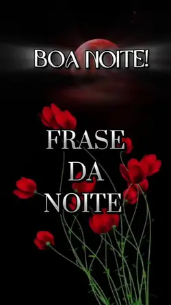Frase da Noite
