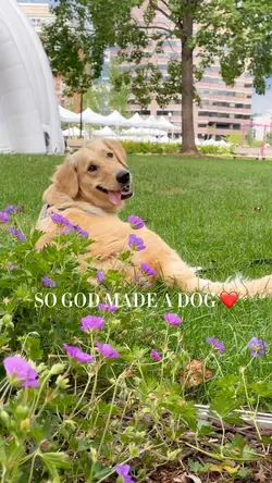 So God Made A Dog❤️
