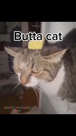 Butta cat
