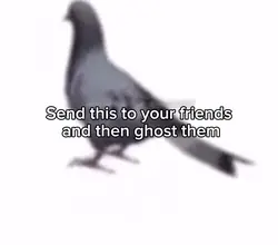 🐦‍⬛