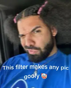 Goofy ahh filter💀