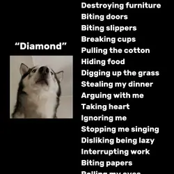 “That’s all i did”