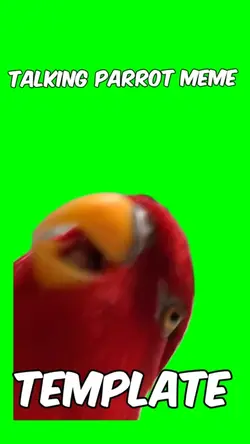 Talking parrot meme