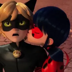 ladybug and catnoir