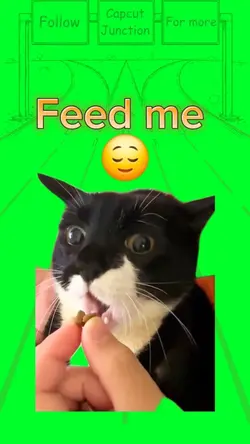Feed me