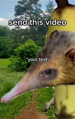 Forklift meme